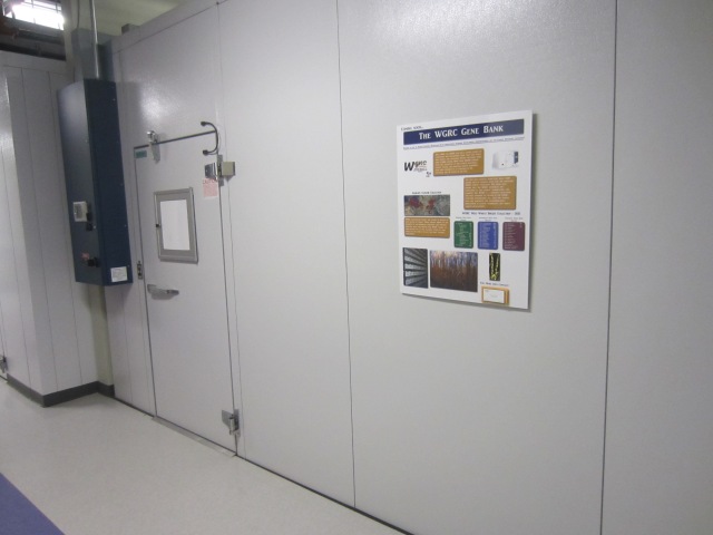 The new gene bank room at the KWIC